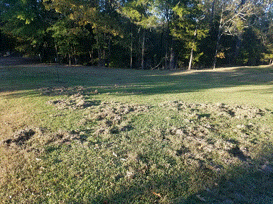 Damage 11-1-20 #2.gif Damage 11-1-20 #2.gif